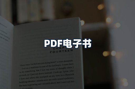 PDF电子书